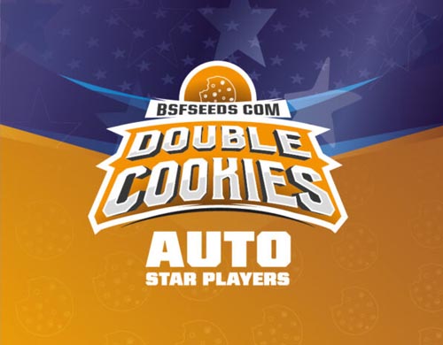 double-cookies-auto-logo SensorySeeds Logo Double Cookies Autofiorente