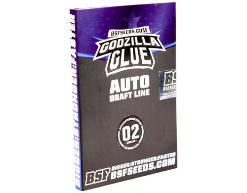 godzilla-glue-auto-confezione SensorySeeds Confezione Semi Godzilla Glue Autofiorenti