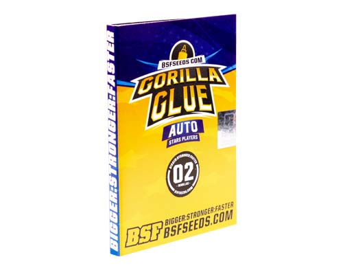 gorilla-glue-auto-confezione SensorySeeds Confezione Semi Gorilla Glue Autofiorenti