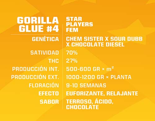 gorilla-glue-fem-descrizione SensorySeeds Descrizione Semi Gorilla Glue Femminizzati