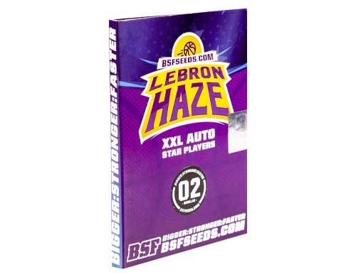 lebron-haze-auto-confezione SensorySeeds Confezione Semi Lebron Haze Autofiorenti