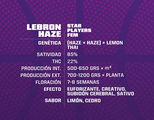 lebron-haze-fem-descrizione SensorySeeds Descrizione Semi Lebron Haze Femminizzati