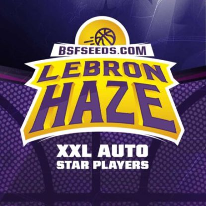 logo-lebron-haze-semi-autofiorenti-nane Logo di semi autofiorenti di Lebron Haze