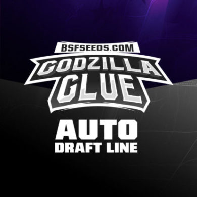 Logo dei semi di cannabis autofiorenti di Godzilla Glue