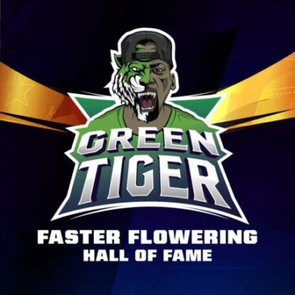 logo-semi-fast-flowering-green-tiger Logo dei semi fast flowering di Green Tiger