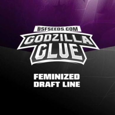 Logo dei semi femminizzati di Godzilla Glue