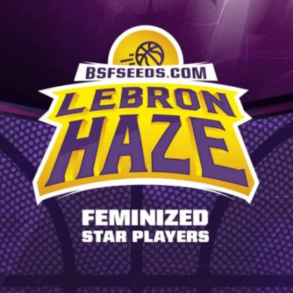 logo-semi-femminizzati-lebron-haze Logo dei semi femminizzati di Lebron Haze