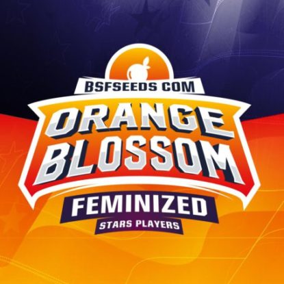 logo-semi-femminizzati-orange-blossom Logo dei semi femminizzati di Orange Blossom
