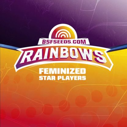logo-semi-femminizzati-rainbows Logo dei semi femminizzati di Rainbows
