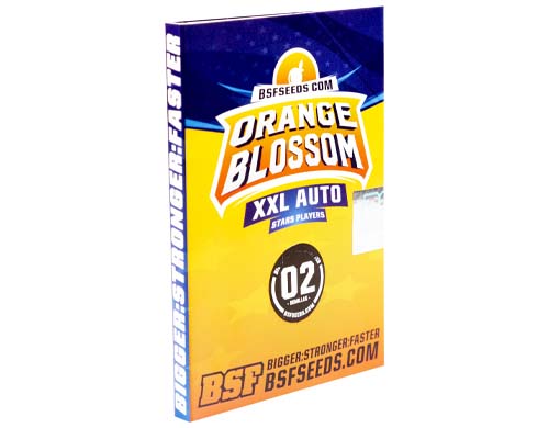 orange-blossom-auto-confezione Confezione di semi di cannabis Orange Blossom
