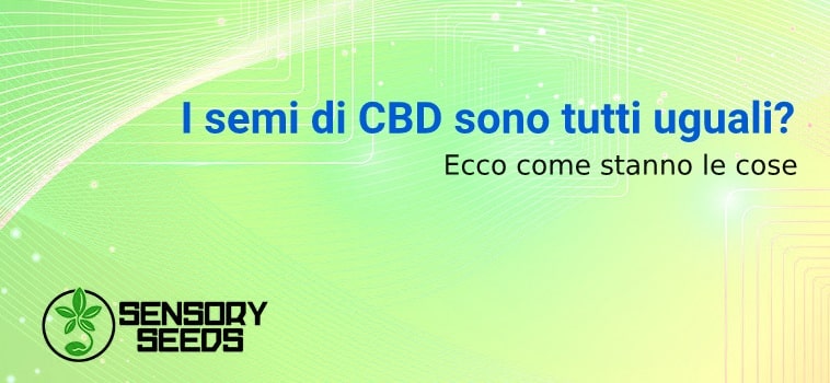 Lista dei semi CBD legali in Europa