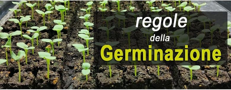 regole per i temi di germinazione nei semi 