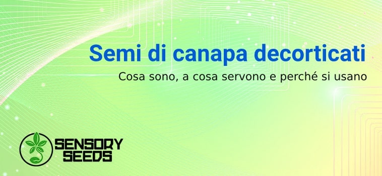 Semi di canapa decortati: cosa sono e vantaggi
