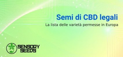 Lista dei semi CBD legali in Europa