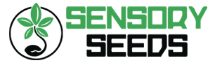 Logo Sensory Seeds - Shop online di semi di marijuana