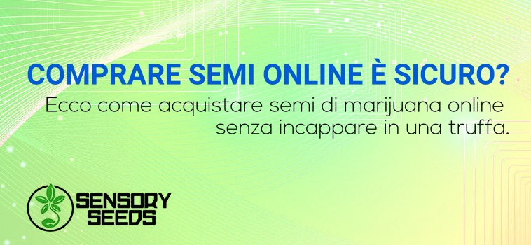 comprare semi online è sicuro