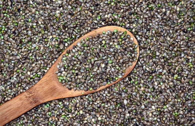 Scegliere semi autofiorenti outdoor: come? | Sensory Seeds