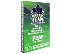 Dream Team Feminized Automix kit di semi di cannabis