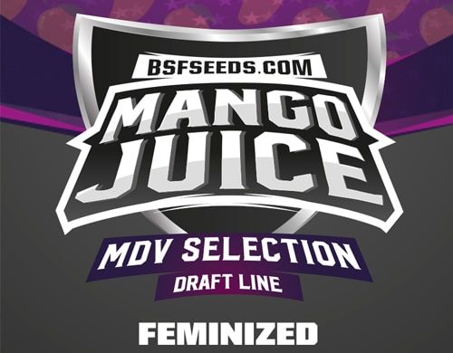 Logo Mango Juice semi di cannabis light