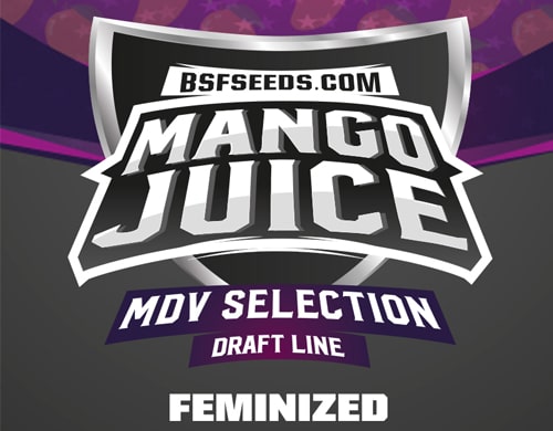 Logo-Mango-Juice-semi-cannabis-light Logo Mango Juice semi di cannabis light
