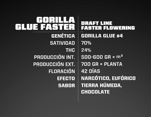 caratteristiche-proprieta-gorilla-glue Proprietà semi Gorilla Glue Faster