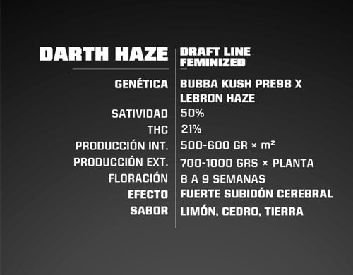 Caratteristiche dei semi di cannabis Darth Haze