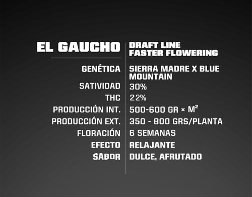 caratteristiche-semi-fast-flowering-el-gaucho Caratteristiche dei semi fast flowering El Gaucho