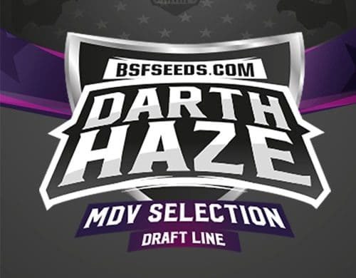 Logo dei semi femminizzati Darth Haze