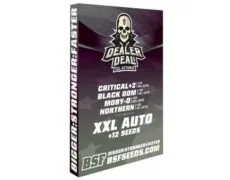 dealert-deal-kit-infiorescenze-canapa Kit di semi di marijuana Dealer Deal XXL Automix
