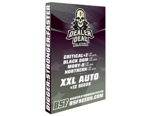 Kit di semi di marijuana Dealer Deal XXL Automix