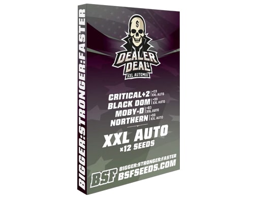 dealert-deal-kit-infiorescenze-canapa Kit di semi di marijuana Dealer Deal XXL Automix