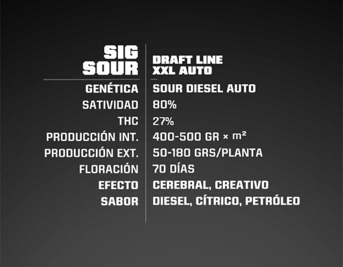 Descrizione dei semi autofiorenti Sig Sour XXL