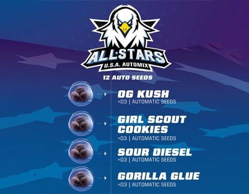 descrizone-kit-semi-di-cannabis-all-stars-usa-automix Descrizione del kit di semi di cannabis All Stars USA Automix