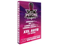 Kit di semi di marijuana Psycho XXL Automix