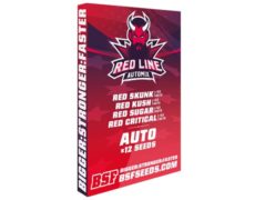 Red Line Automix kit di semi di cannabis