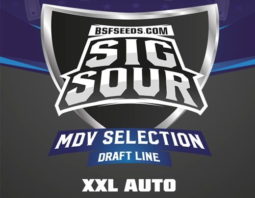 Logo dei semi autofiorenti Sig Sour XXL