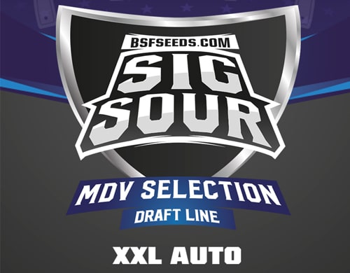 logo-semi-autofiorenti-nane-sig-sour-xxl Logo dei semi autofiorenti Sig Sour XXL