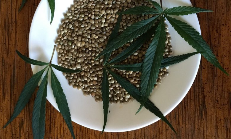 semi cannabis comprare semi online è sicuro