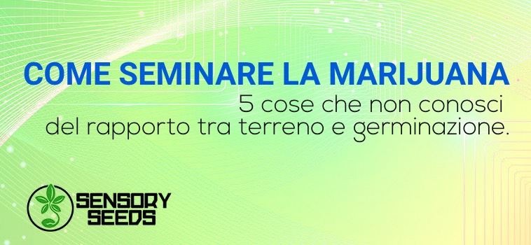 Come seminare marijuana