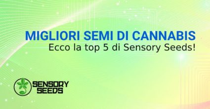 MIGLIORI SEMI DI CANNABIS SENSORY SEEDS bsf