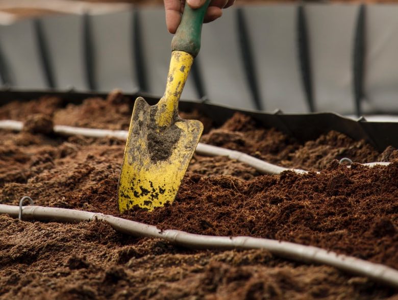 miglior terreno per coltivare cannabis