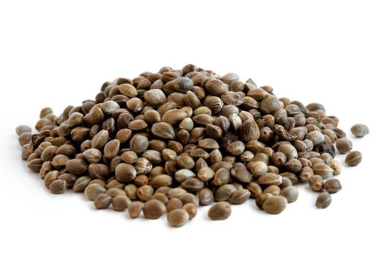 migliori semi femminizzati online BSF Seeds