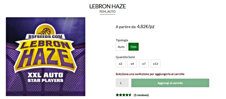 semi di canapa lebron haze