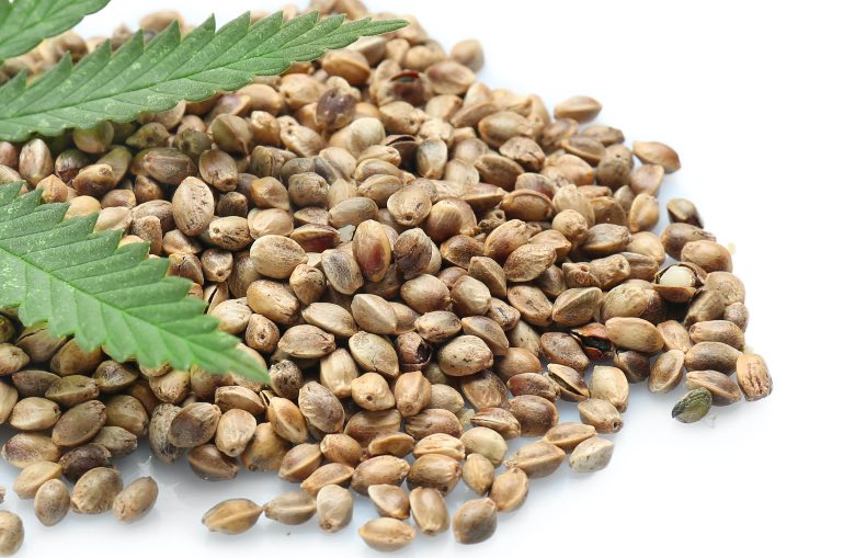 semi di cannabis online femminizzati