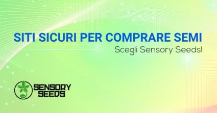 Siti sicuri per comprare semi di cannabis