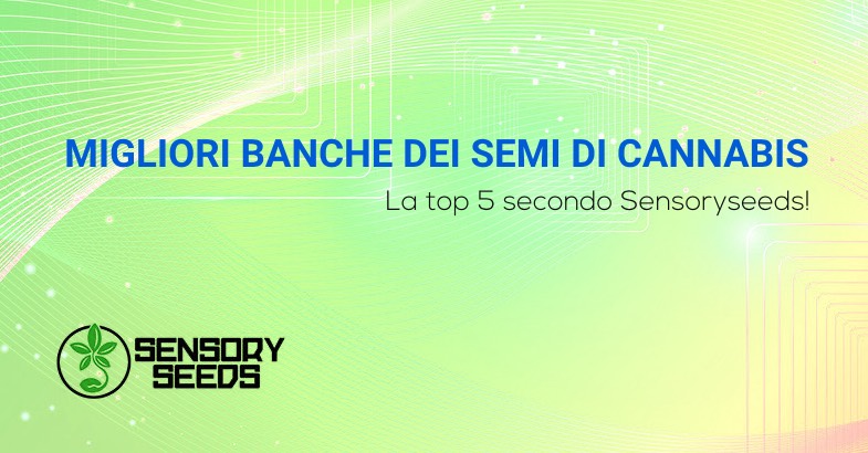 Le 5 migliori banche dei semi di cannabis