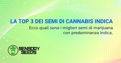 SEMI DI CANNABIS INDICA ONLINE