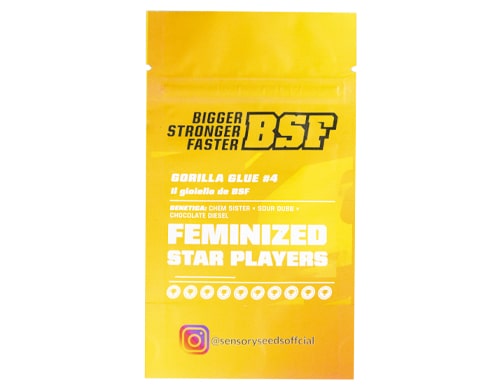 descrizione-semi-femminizzati-di-marijuana-sfusi-gorilla-glue-4 Descrizione di semi femminizzati di marijuana sfusi di Gorilla Glue 4