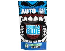 semi di cannabis sfusi gorilla glue 4