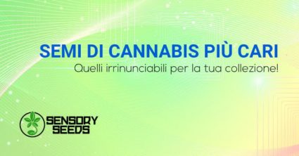 Collezione semi di cannabis più cari